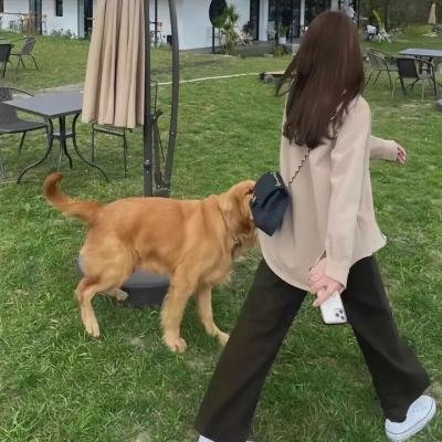 爱情枪手